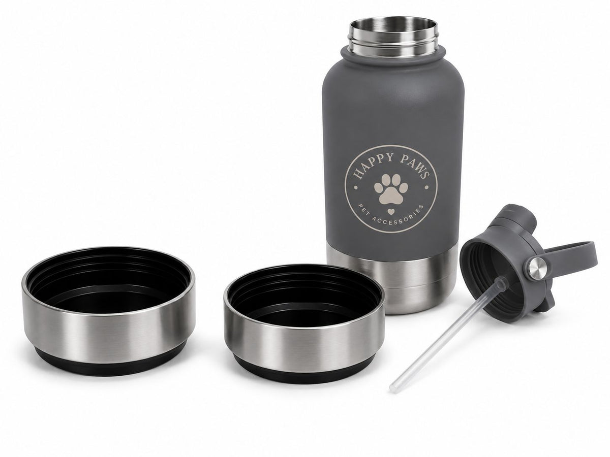 3 in 1 Water bottle