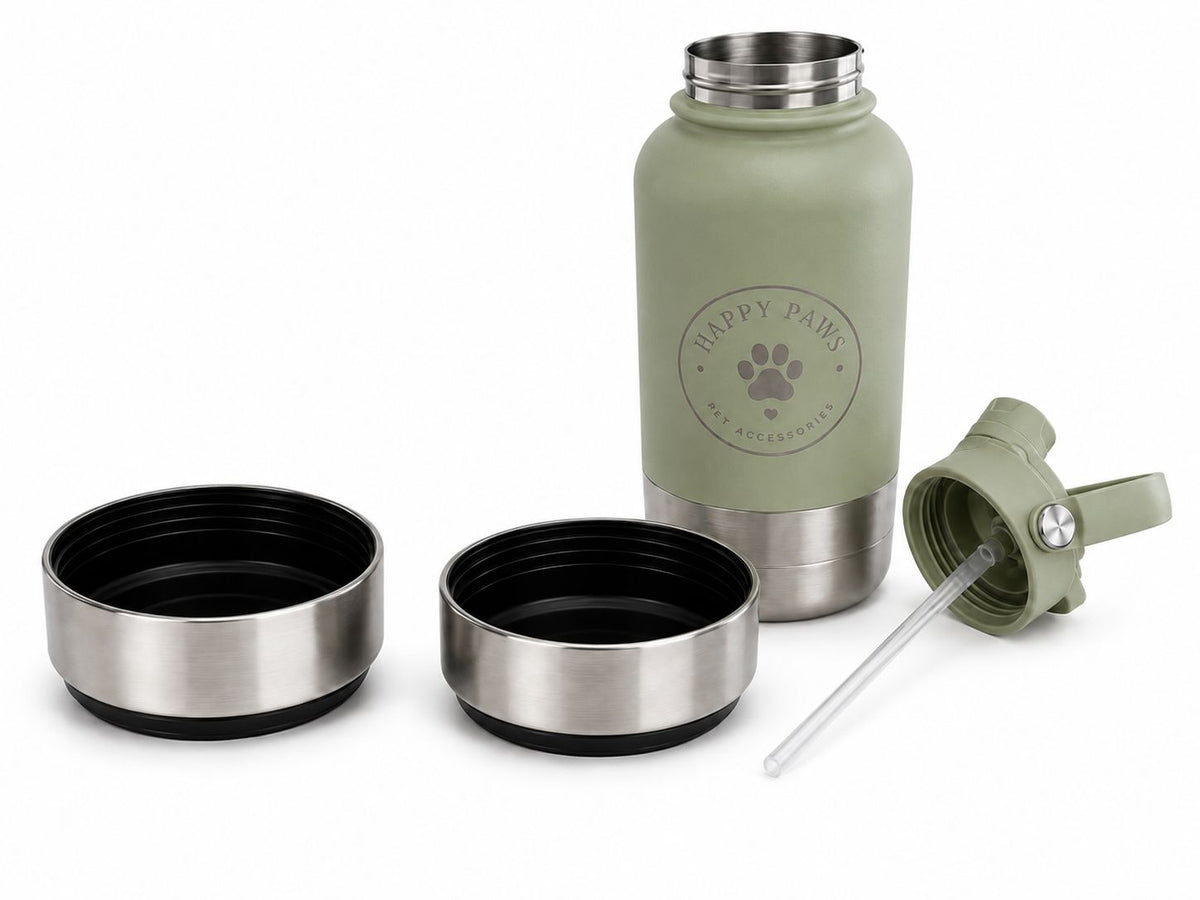 3 in 1 Water bottle